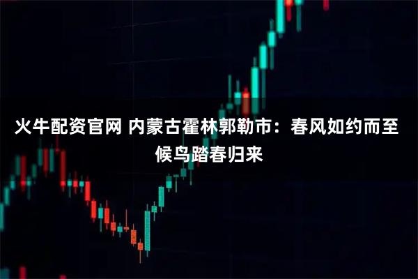 火牛配资官网 内蒙古霍林郭勒市：春风如约而至 候鸟踏春归来