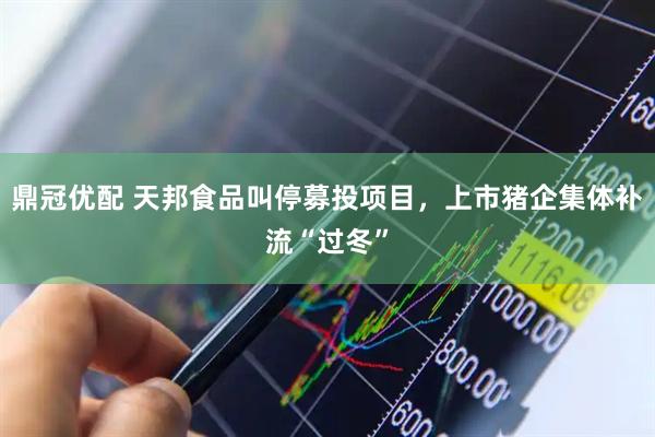 鼎冠优配 天邦食品叫停募投项目，上市猪企集体补流“过冬”