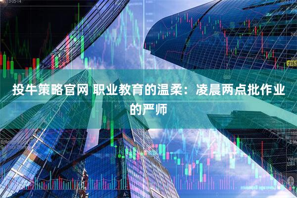 投牛策略官网 职业教育的温柔：凌晨两点批作业的严师